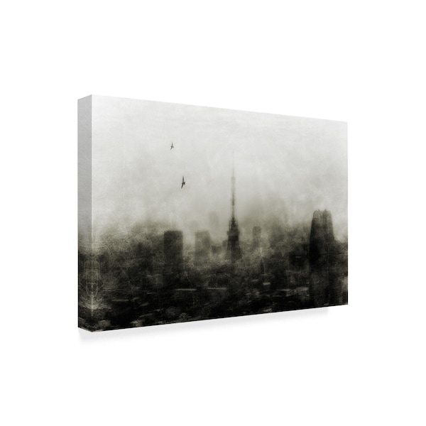 Keisuke Ikeda 'Crying City' Canvas Art,30x47